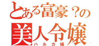 とある富豪？の美人令嬢（ハルカ様）