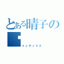 とある晴子の饿（インデックス）