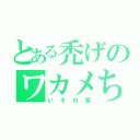 とある禿げのワカメちゃん（いその家）