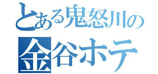 とある鬼怒川の金谷ホテル（）