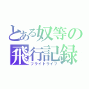 とある奴等の飛行記録（フライトライフ）