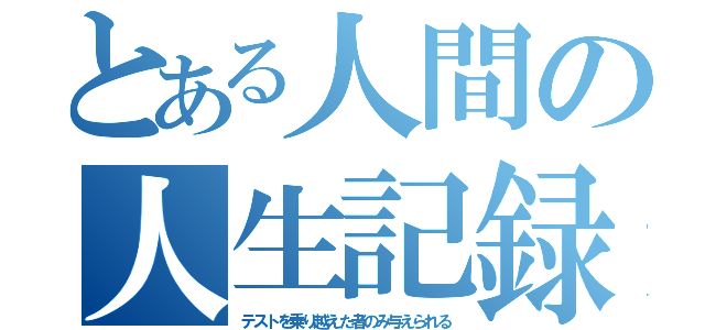 とある人間の人生記録（テストを乗り越えた者のみ与えられる）