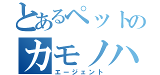 とあるペットのカモノハシ（エージェント）