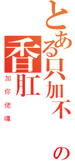 とある只加不減の香肛運豬處（加你佬嗶）