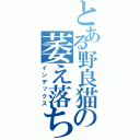 とある野良猫の萎え落ち（インデックス）