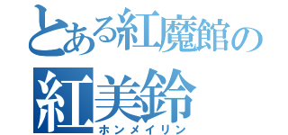 とある紅魔館の紅美鈴（ホンメイリン）