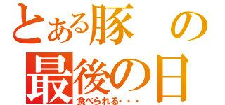 とある豚の最後の日（食べられる・・・）