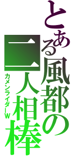 とある風都の二人相棒（カメンライダーＷ）