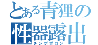 とある青狸の性器露出（チンポボロン）