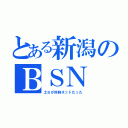 とある新潟のＢＳＮ（土６が同時ネットだった）