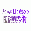 とある比嘉の沖縄武術（バイキングホーン）