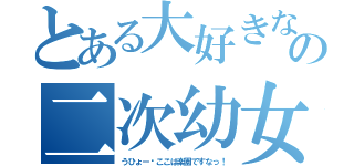 とある大好きな俺氏の二次幼女（うひょー⤴ここは楽園ですなっ！）