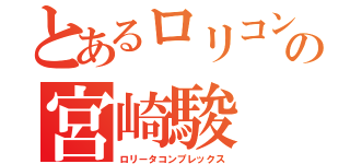 とあるロリコンの宮崎駿（ロリータコンプレックス）