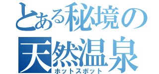 とある秘境の天然温泉（ホットスポット）