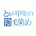 とある甲斐の陰毛染め（１０円玉）