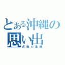 とある沖縄の思い出（貞操の危機）