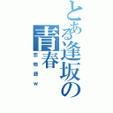 とある逢坂の青春（恋物語ｗ）