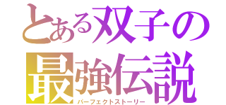 とある双子の最強伝説（パーフェクトストーリー）