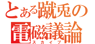 とある蹴兎の電磁議論（スカイプ）