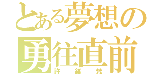 とある夢想の勇往直前（許維梵）