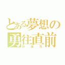 とある夢想の勇往直前（許維梵）