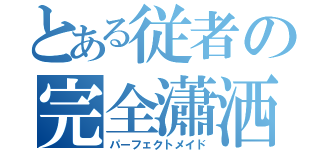 とある従者の完全瀟洒（パーフェクトメイド）