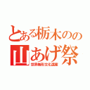 とある栃木のの山あげ祭（世界無形文化遺産）