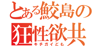 とある鮫島の狂性欲共（キチガイども）