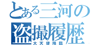 とある三河の盗撮履歴（大天使降臨）