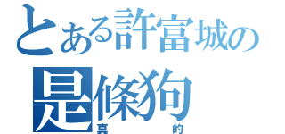 とある許富城の是條狗（真的）