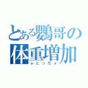 とある鸚哥の体重増加（ふとっちょ）