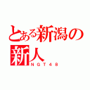 とある新潟の新人（ＮＧＴ４８）