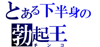 とある下半身の勃起王（チンコ）