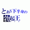 とある下半身の勃起王（チンコ）