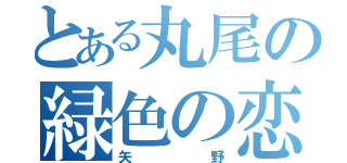 とある丸尾の緑色の恋人（矢野）