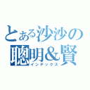 とある沙沙の聰明＆賢慧（インデックス）