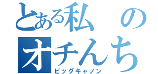 とある私のオチんちん（ビッグキャノン）