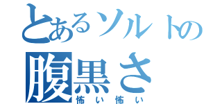 とあるソルトの腹黒さ（怖い怖い）