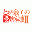 とある金子の受験勉強Ⅱ（ヤリタクナイ）