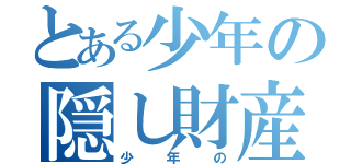 とある少年の隠し財産（少年の）