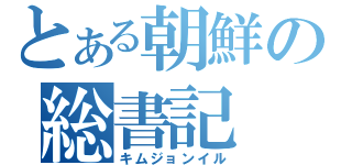 とある朝鮮の総書記（キムジョンイル）