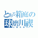 とある箱庭の球磨川禊（人間失格）