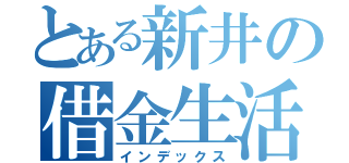 とある新井の借金生活（インデックス）