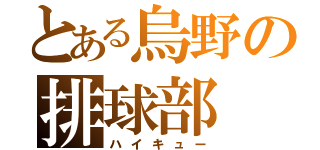 とある烏野の排球部（ハイキュー）