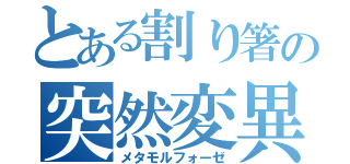 とある割り箸の突然変異（メタモルフォーゼ）