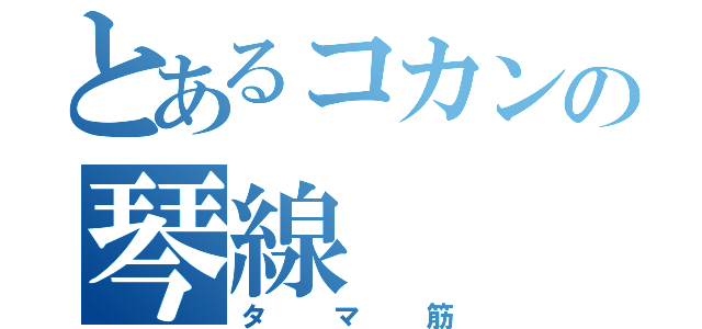 とあるコカンの琴線（タマ筋）