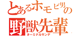 とあるホモビ男優の野獣先輩（ターミナルサンデ）