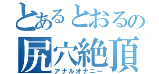 とあるとおるの尻穴絶頂（アナルオナニー）