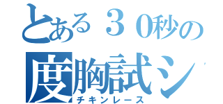 とある３０秒の度胸試シ（チキンレース）