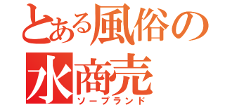 とある風俗の水商売（ソープランド）